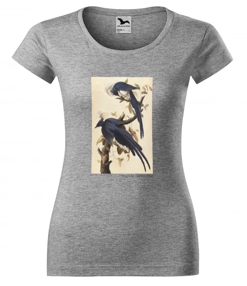 Bluzka damska Magpie Jay James Audubon