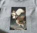 Koszulka z nadrukiem Barn Owl, Tyto Alba James Audubon