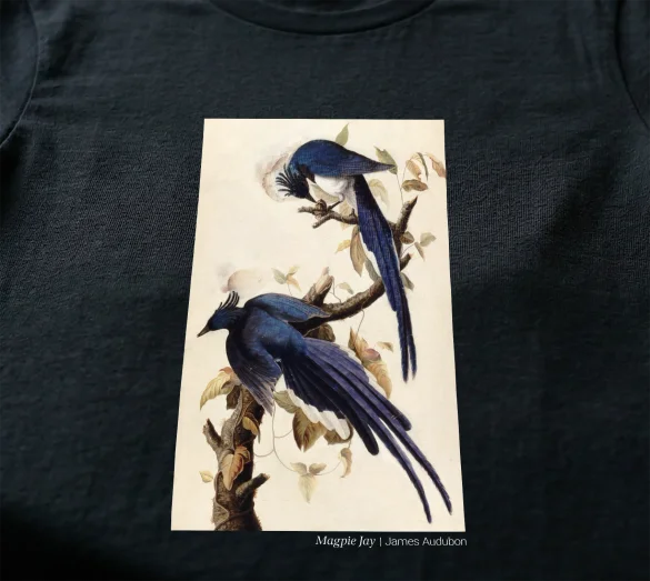 Bluzka damska Magpie Jay James Audubon