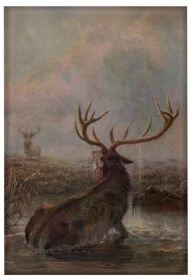 Magnes Interrupted Joseph Wolf