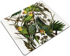 Carolina Parakeet