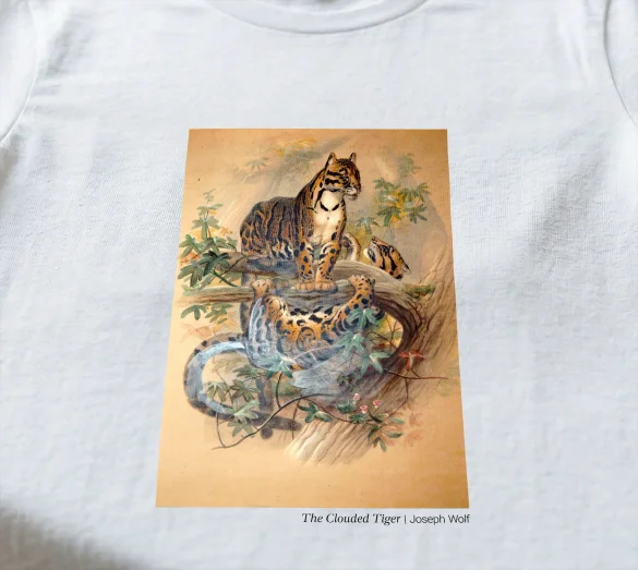 Bluzka damska The Clouded Tiger Joseph Wolf