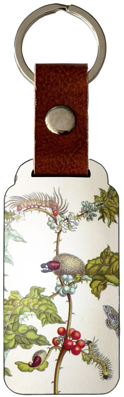 Brelok Metamorfoza owadów Surinamensium Maria Sibylla Merian