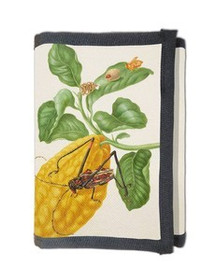 Portfel Cytryna z gąsienicą małpy i chrząszczem harlekin Maria Sibylla Merian