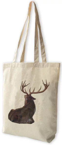 Torba bawełniana Interrupted Joseph Wolf