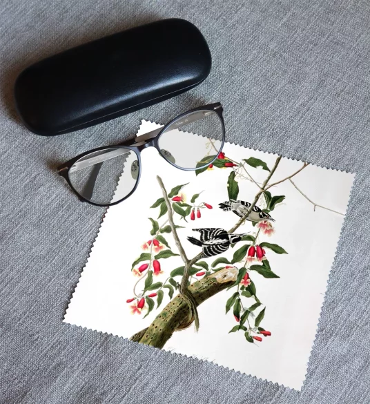 Ściereczka do okularów Downy Woodpecker  James Audubon