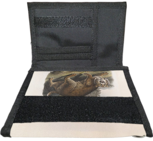 Portfel Common American Wildcat James Audubon