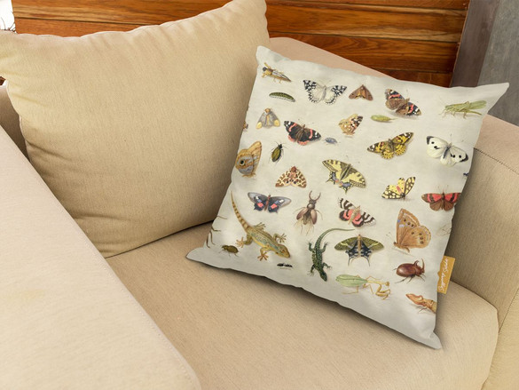 Poduszka Studium owadów Jan van Kessel (starszy) 