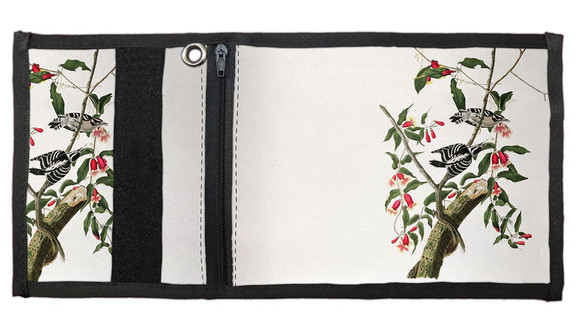 Portfel Downy Woodpecker  James Audubon