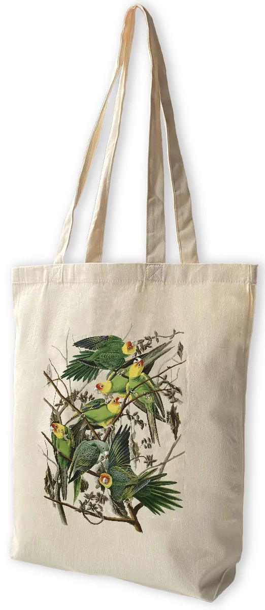 Torba bawełniana Carolina Parakeet James Audubon, Biała