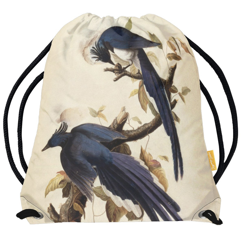 Worek Magpie Jay James Audubon
