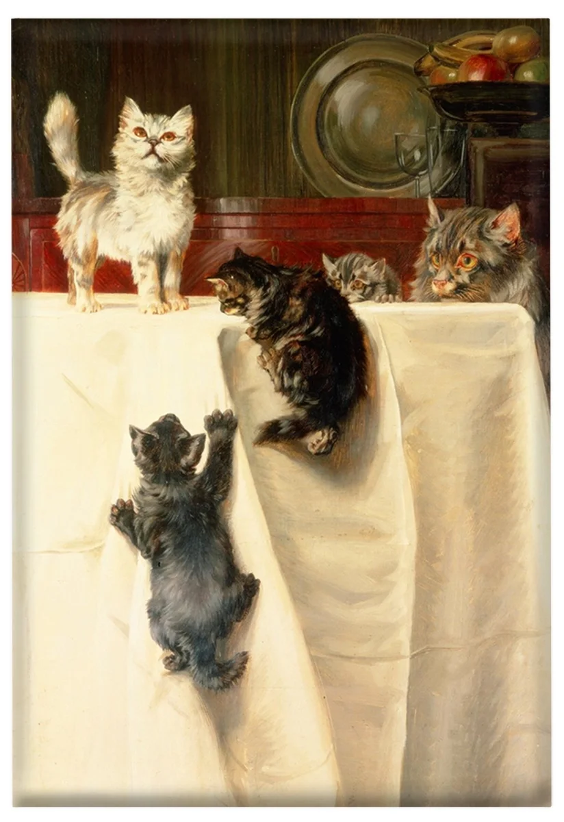 Magnes Koty William Henry Hamilton Trood