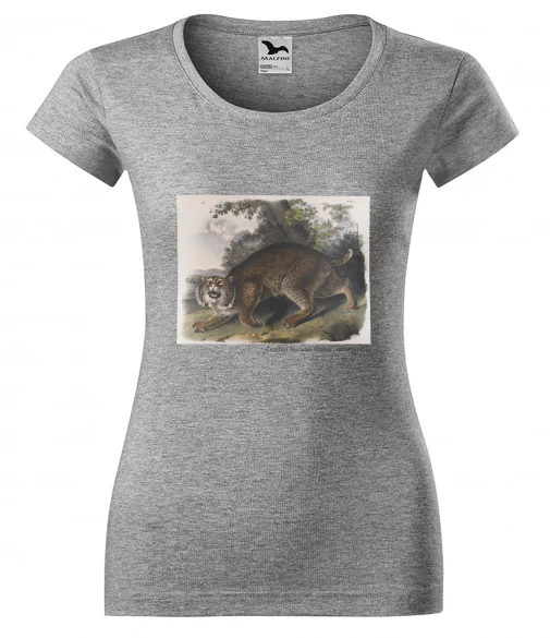 Bluzka damska Common American Wildcat James Audubon
