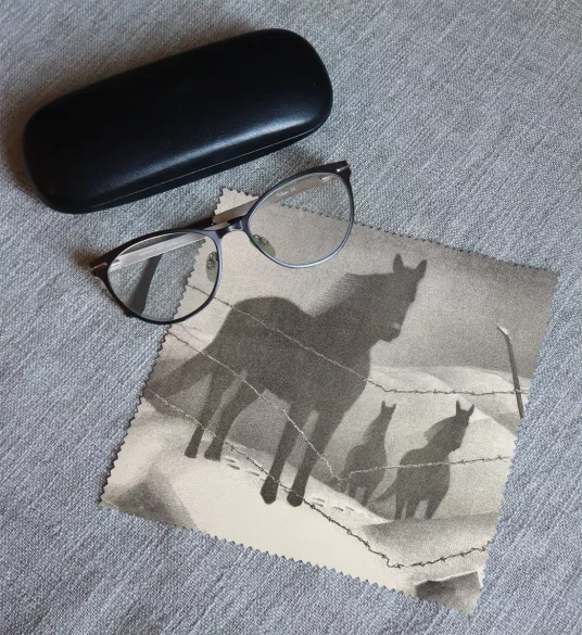 Ściereczka do okularów February Grant Wood