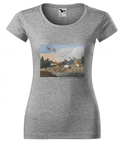 Bluzka damska Czaple i kaczki na rzece Jan van Kessel (starszy)