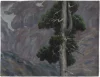 Limba nad Morskim Okiem
