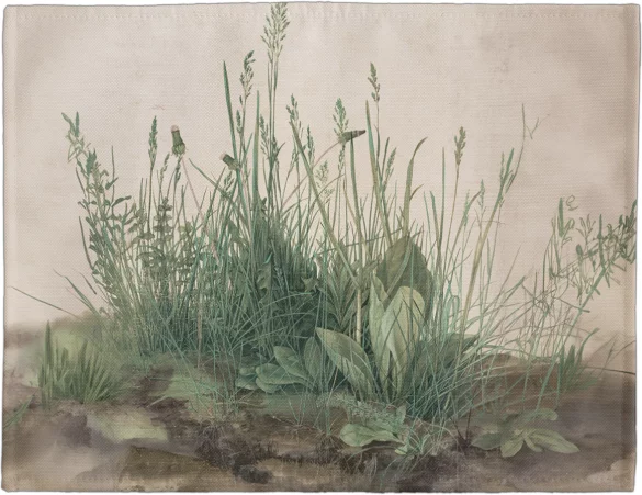 Podkładka na stół Studium traw Albrecht Dürer