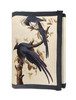Magpie Jay
