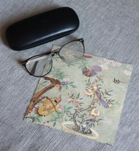 Ściereczka do okularów A Yellow Shafted Flicker James Audubon