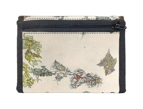 Portfel Metamorfoza owadów Surinamensium Maria Sibylla Merian