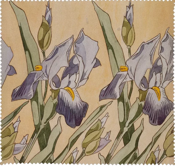 Ściereczka do okularów Irys Koloman Moser