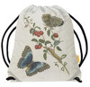 Great Blue Butterflies and Red Fruits