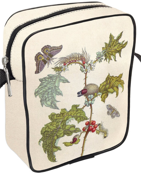 Torba listonoszka Metamorfoza owadów Surinamensium Maria Sibylla Merian