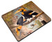 Podkładka Concave casque Hornbill Joseph Wolf 36x29cm