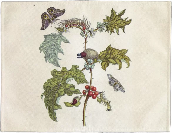 Podkładka na stół Metamorfoza owadów Surinamensium Maria Sibylla Merian