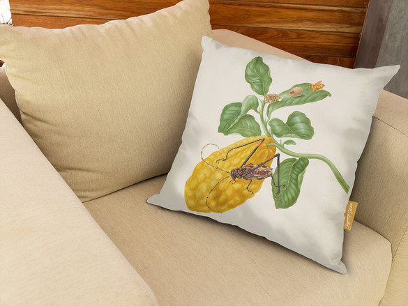 Poduszka Cytryna z gąsienicą małpy i chrząszczem harlekin Maria Sibylla Merian