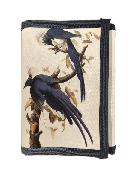 Portfel Magpie Jay James Audubon