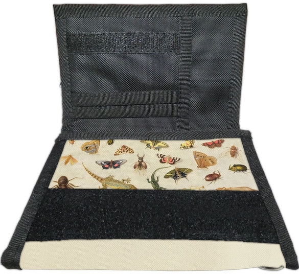 Portfel Studium owadów Jan van Kessel (starszy) 