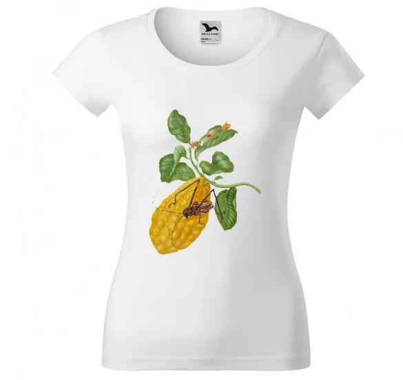 Bluzka damska Cytryna z gąsienicą małpy i chrząszczem harlekin Maria Sibylla Merian