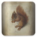 Podkładka pod kubek Czerwona wiewiórka Hans Hoffmann