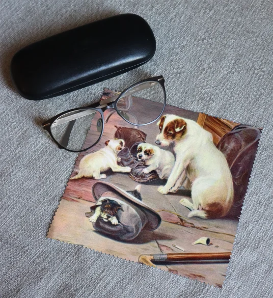 Ściereczka do okularów Obiecująca rodzina William Henry Hamilton Trood