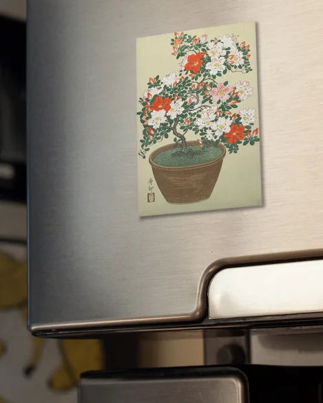 Magnes Azalia w doniczce Ohara Koson