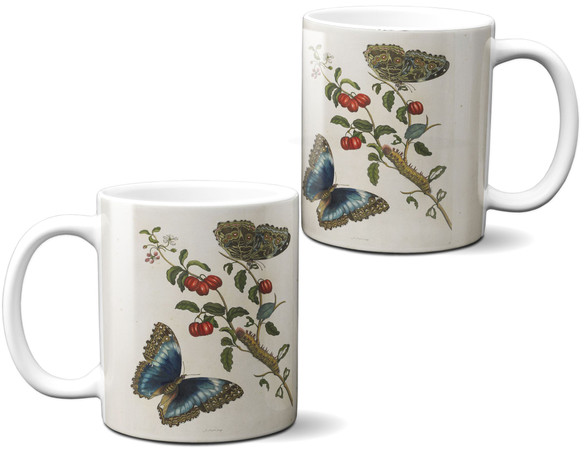 Kubek Great Blue Butterflies and Red Fruits Maria Sibylla Merian