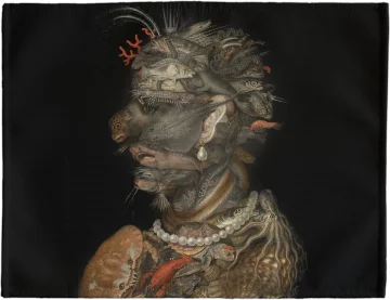 Podkładka na stół Woda Giuseppe Arcimboldo