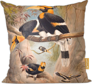 Poduszka Concave casque Hornbill Joseph Wolf