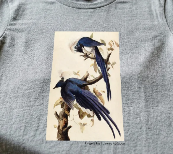 Koszulka z nadrukiem Magpie Jay James Audubon