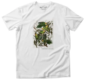 Koszulka z nadrukiem Carolina Parakeet James Audubon
