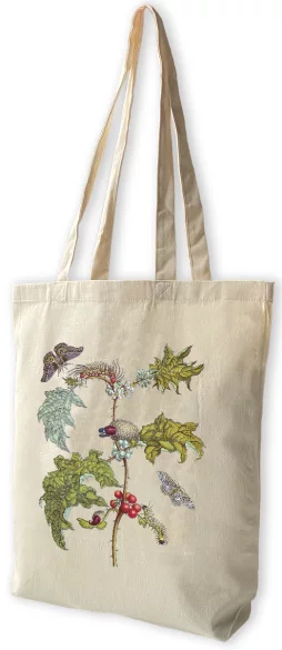 Torba bawełniana Metamorfoza owadów Surinamensium Maria Sibylla Merian