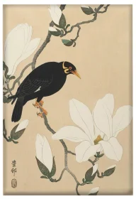 Magnes Wzgórze Myna na gałęzi magnolii Ohara Koson