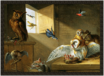 Naszywka Rodzina sów, innych ptaków i kota Jan van Kessel (starszy)