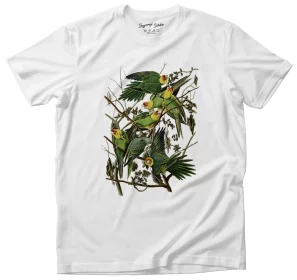 Koszulka Carolina Parakeet James Audubon