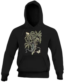 Bluza Cassave Maria Sibylla Merian