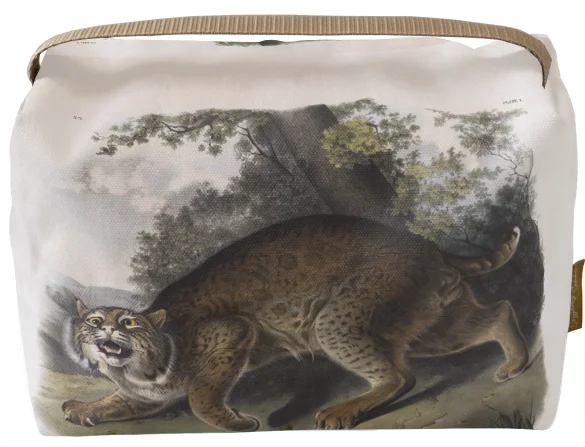 Kosmetyczka kuferek Common American Wildcat James Audubon