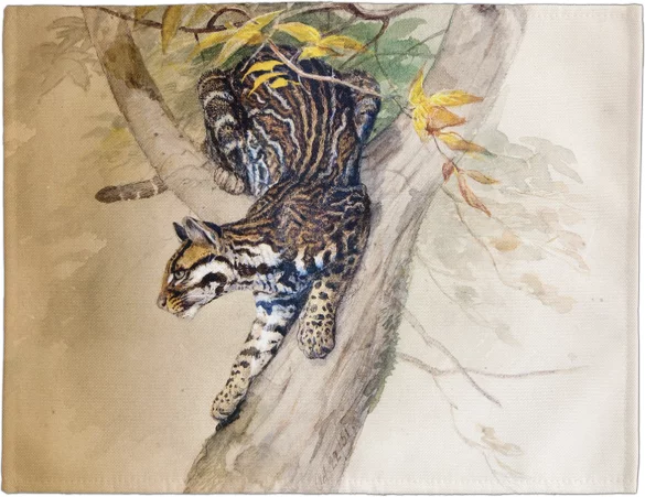 Podkładka na stół Ocelot Joseph Wolf