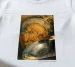 Koszulka z nadrukiem Kucharz Giuseppe Arcimboldo