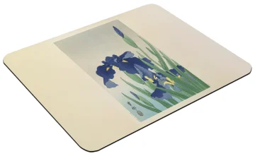 Podkładka Irys Ohara Koson 60x40cm
